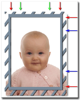 PassLink1